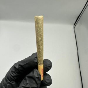 COZY CONES 1.2G Pre-Rolls