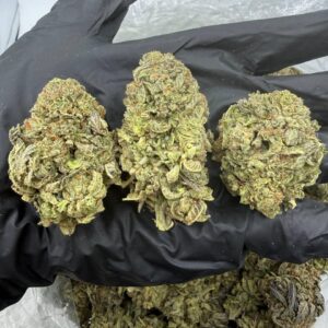 POP CANDY cannabis strain