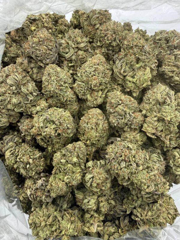 POP CANDY cannabis strain