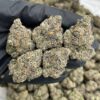 Apple Gelato cannabis strain