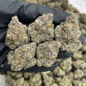 Apple Gelato cannabis strain