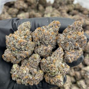 Frozen Fruit Rollups cannabis strain