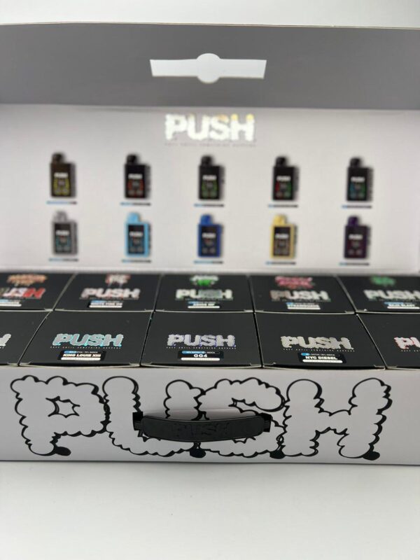 Push Duo 2G Disposables