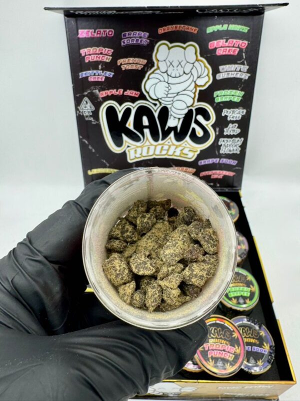 Kaws Rocks Exotic Edition
