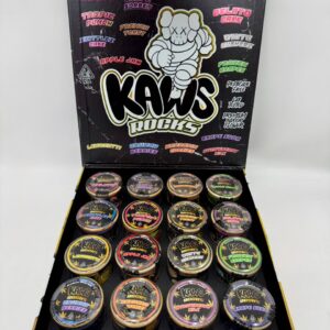 Kaws Rocks Exotic Edition