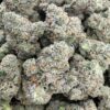 TOAD VENOM Cannabis Strain
