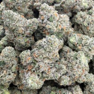 TOAD VENOM Cannabis Strain