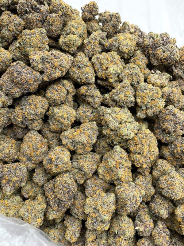 Magic Marker Indoor Cannabis Strain
