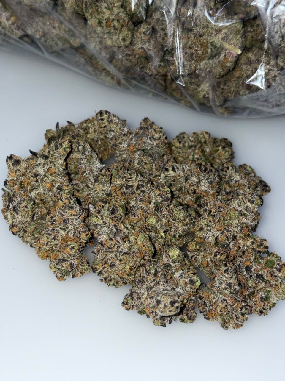 ZOUR Patch strain ZOUR Patch strain