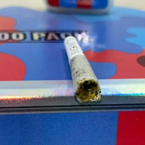 blinkers 2g disposable review