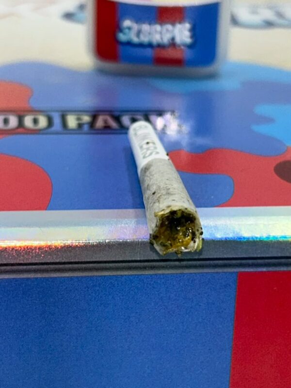 blinkers 2g disposable review