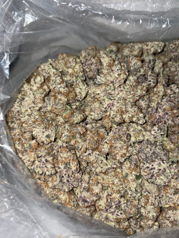 Sorry I was trapping strain