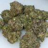 Baked Lobster Cannabis Strain