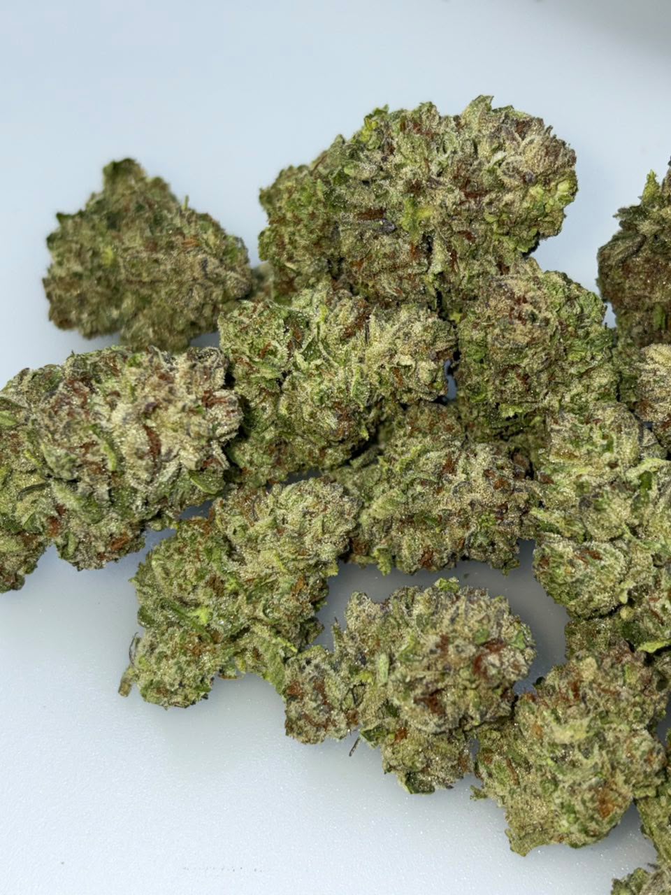 Zotz Cannabis Strain Zotz Cannabis Strain