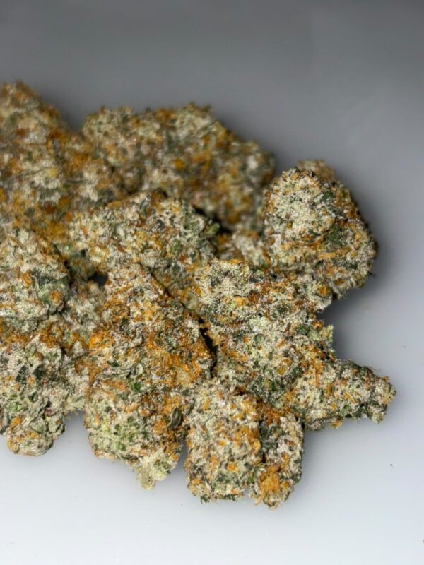 Garlic Cookies Strain