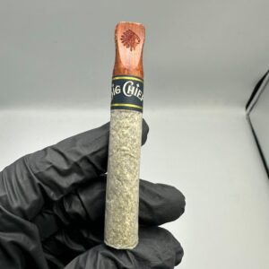 BIG CHIEF 2G Hasholes