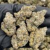 Garlic Pop Rocks strain