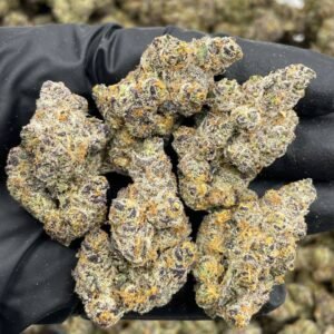 Garlic Pop Rocks strain