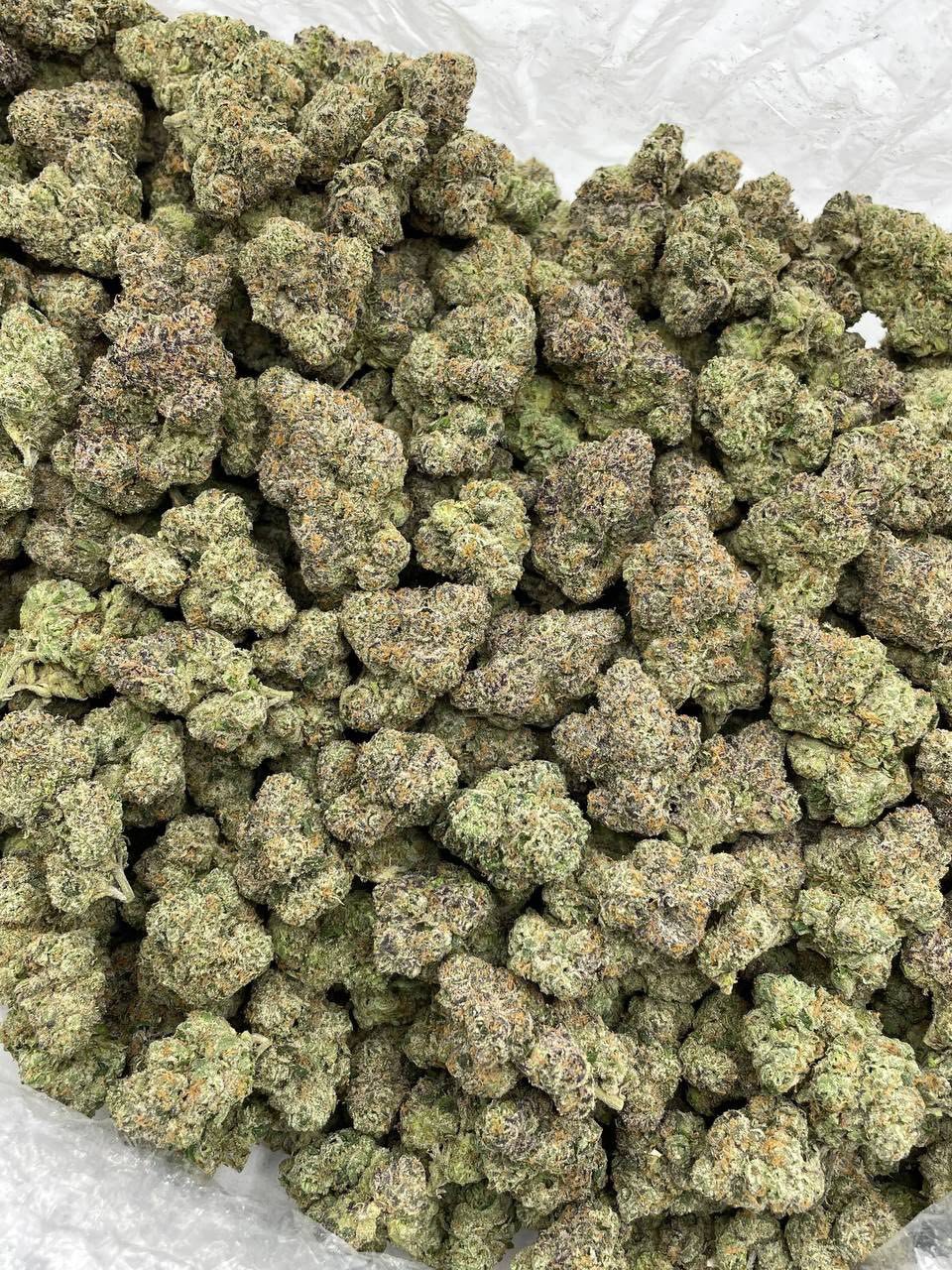 Mega Martian Candy Exotic Indoor is a cannabis flower product associated with exotic indoor cultivation and a sweet, candy-inspired profile. Its name suggests Mega Martian Candy Exotic Indoor is a cannabis flower product associated with exotic indoor cultivation and a sweet, candy-inspired profile. Its name suggests