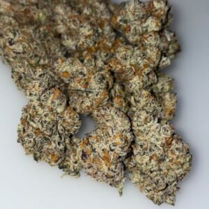 To The Moon Cannabis Strain is a cannabis cultivar associated with distinctive flower characteristics and an aromatic terpene profile. Its genetics, appearance, THC and CBD concentrations, and terpene composition can vary by breeder, producer, and cultivation batch. For verified information, check the product label or certificate of analysis (COA).