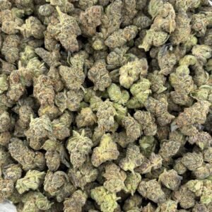 Forum Cookies Indoor Cannabis Strain is a premium indoor-grown cannabis flower known for its distinctive aroma, flavorful profile, and dense, visually appealing buds. Often associated with the Cookies family, Forum Cookies is appreciated by adult cannabis consumers for its balanced terpene character and carefully cultivated indoor quality.