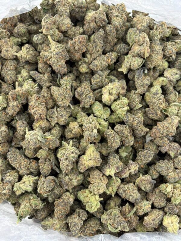 Forum Cookies Indoor Cannabis Strain is a premium indoor-grown cannabis flower known for its distinctive aroma, flavorful profile, and dense, visually appealing buds. Often associated with the Cookies family, Forum Cookies is appreciated by adult cannabis consumers for its balanced terpene character and carefully cultivated indoor quality.