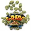 G-RIDE by Jungle Boys Cannabis Flower
