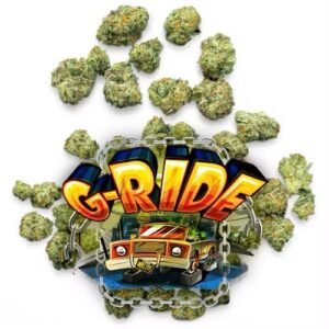 G-RIDE by Jungle Boys Cannabis Flower