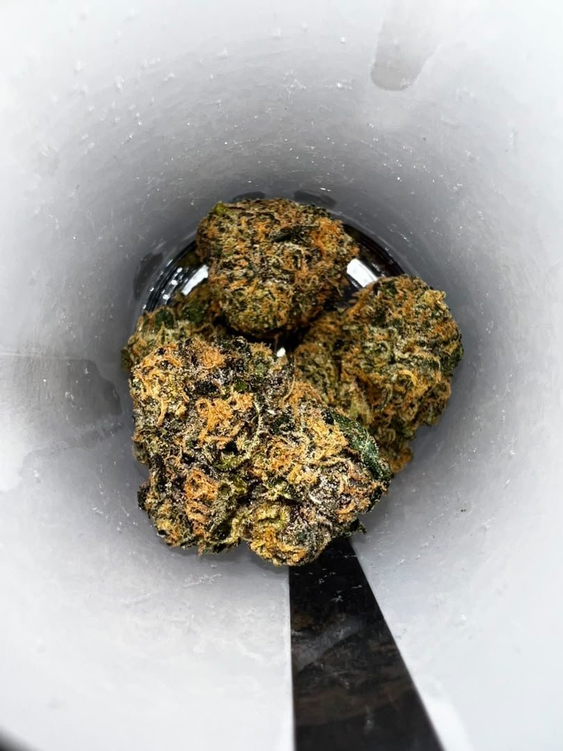 Discover PREFERRED GARDENS Exotic Flower in 3.5G and 14G jars. Explore distinctive cannabis flower profiles, terpene characteristics, cannabinoid information, and product details. Discover PREFERRED GARDENS Exotic Flower in 3.5G and 14G jars. Explore distinctive cannabis flower profiles, terpene characteristics, cannabinoid information, and product details.