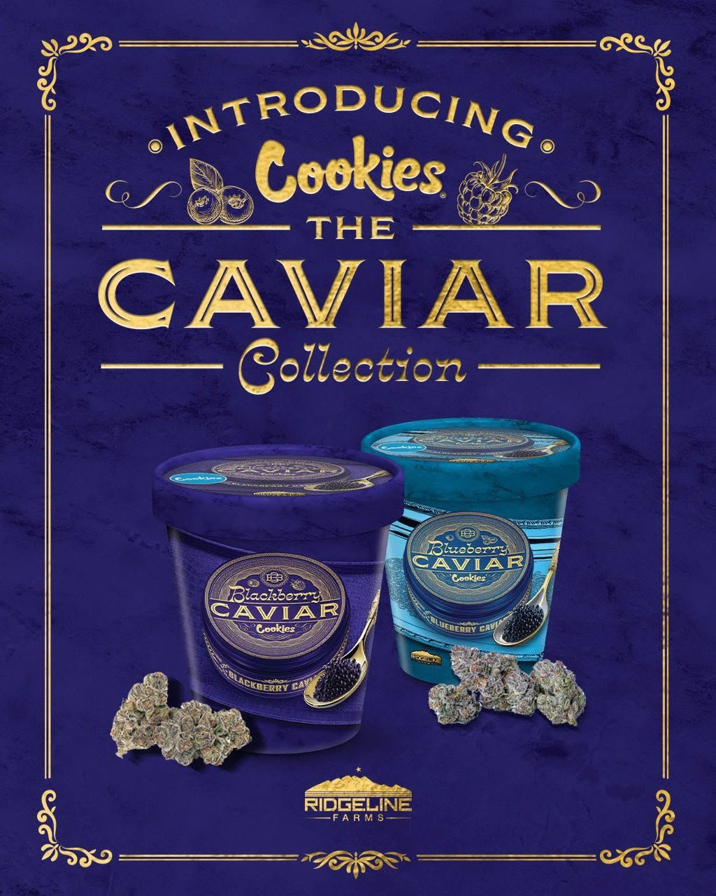 Cookies The Caviar Collection Premium Cannabis Flower is a premium cannabis flower collection featuring carefully selected cultivars with distinctive aromas, flavors, and cannabinoid profiles. Explore the collection and check individual product labeling for strain-specific details, THC content, terpene profiles, and batch information. Cookies The Caviar Collection Premium Cannabis Flower is a premium cannabis flower collection featuring carefully selected cultivars with distinctive aromas, flavors, and cannabinoid profiles. Explore the collection and check individual product labeling for strain-specific details, THC content, terpene profiles, and batch information.