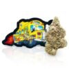 Big Boy DRO Flower